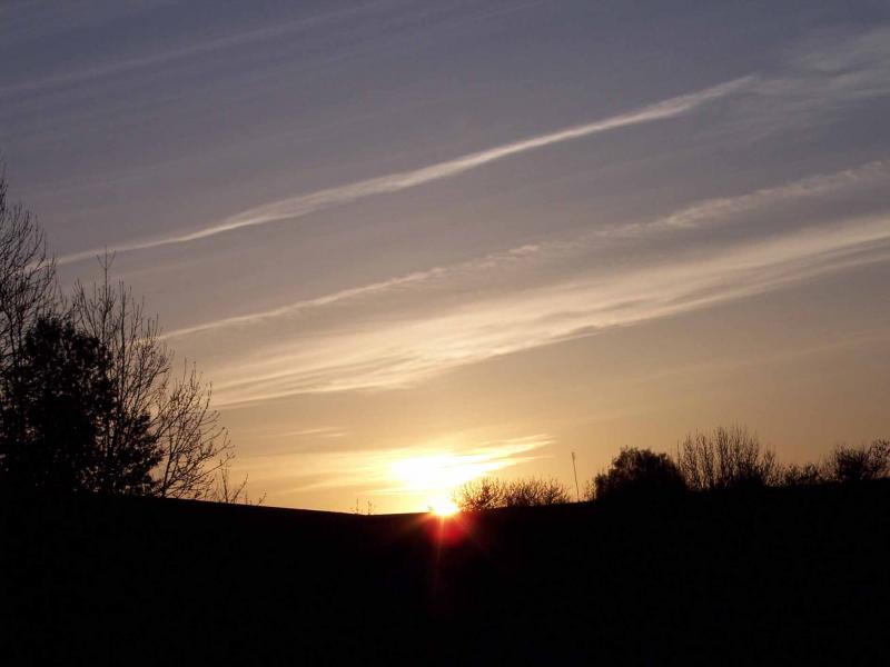 літо - Заставці