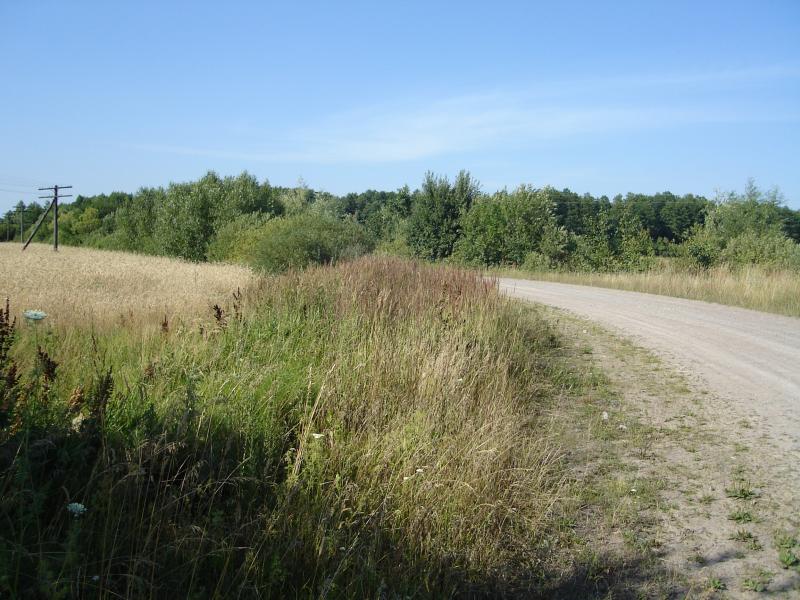 Дорога додому - Будище