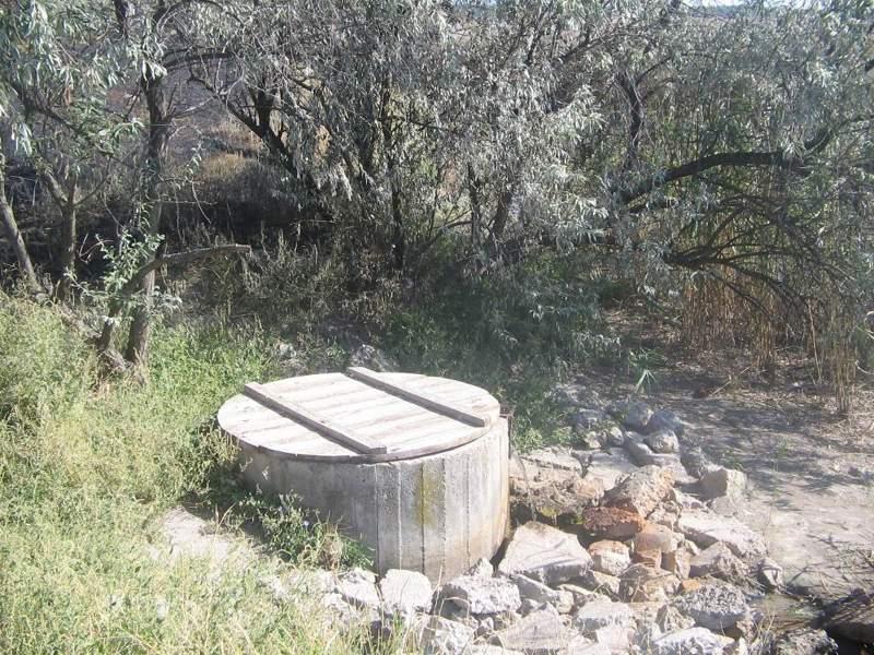 Джерело с. Радивонівка - Радивонівка