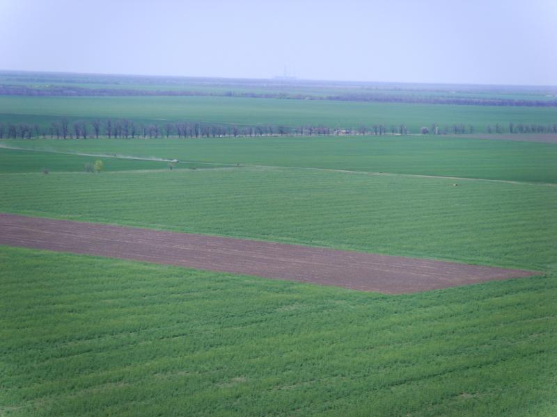 КРЄВИДИ ПАНОРАМА СЕЛА - Золота Балка