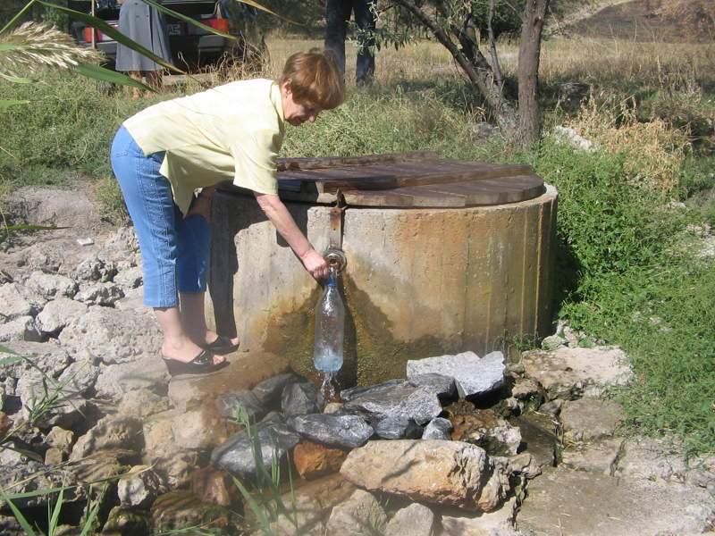 Джерело с. Радивонівка - Радивонівка