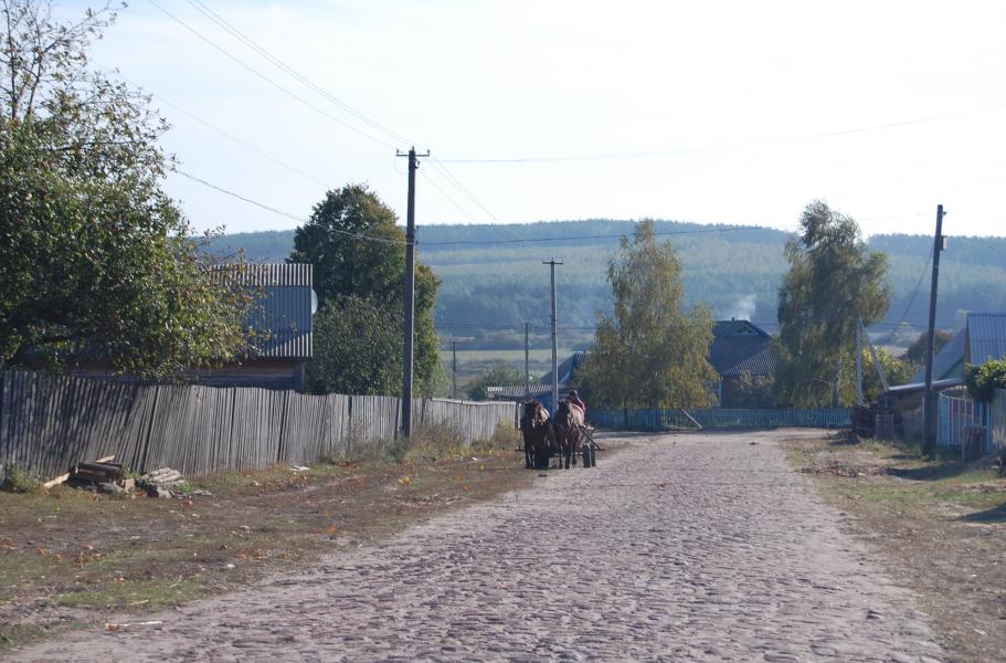 Осень - Тхорин