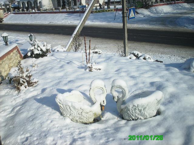 Село - Горынка