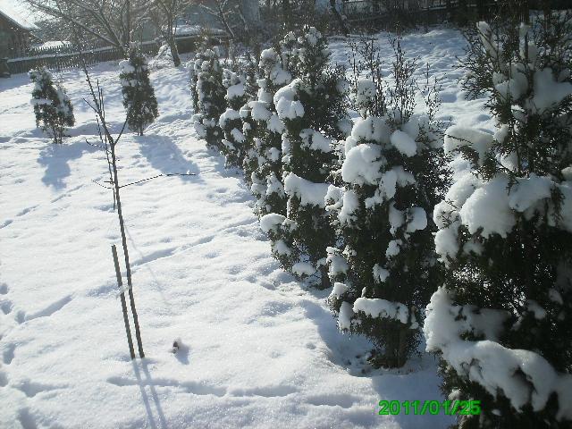 Село - Горынка