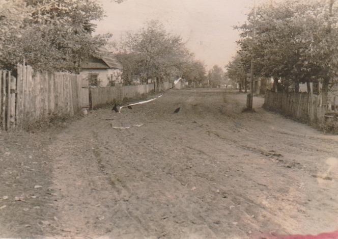 Історія мого села - Немовичі