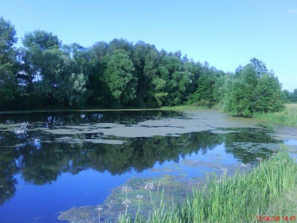 Блистова - Блистова