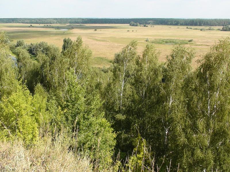 Наша местность - Клепалы