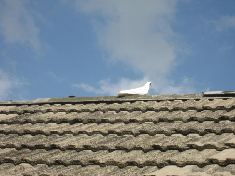 Моё село - Лучковка