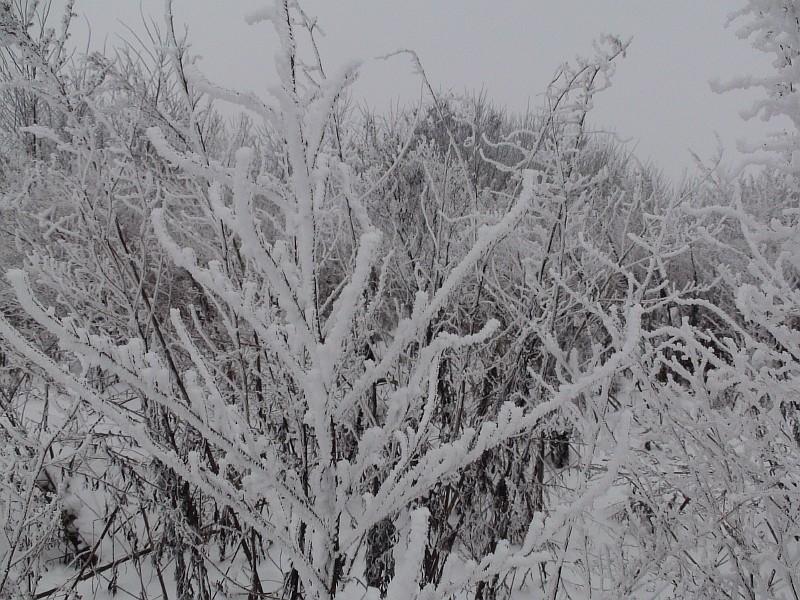 Наша местность - Клепали