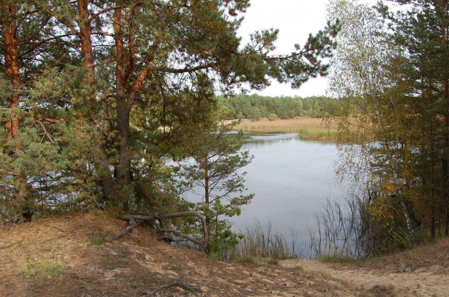 Сырница - Сырница