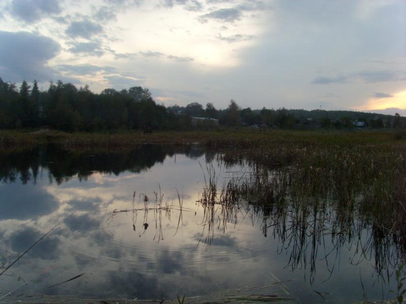 Лето - Тхорин