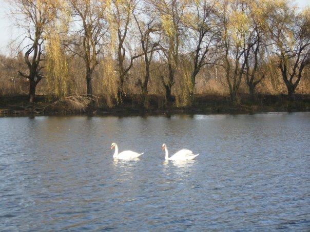 Парк села Деребчин - Деребчин