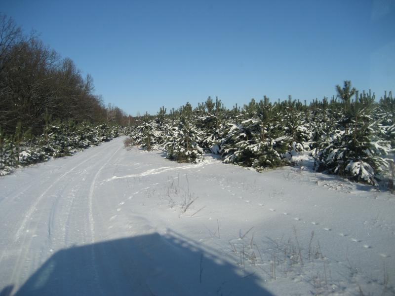 Моё село - Лучковка