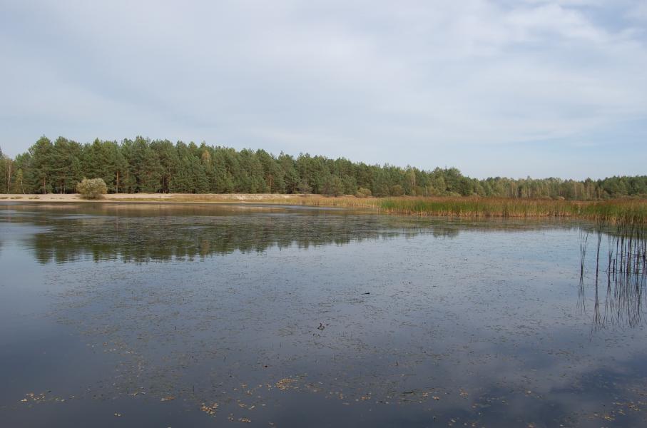 Сырница - Сирниця