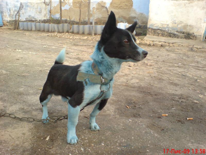 Природа - Галагановка