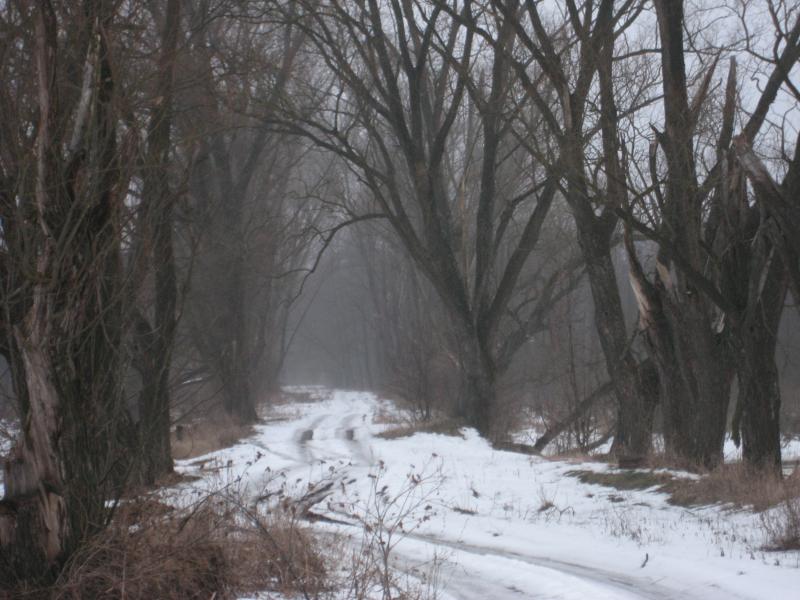 Моё село - Лучковка