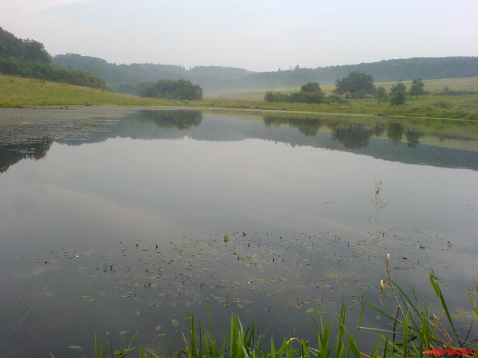 Боратичі - Боратичі