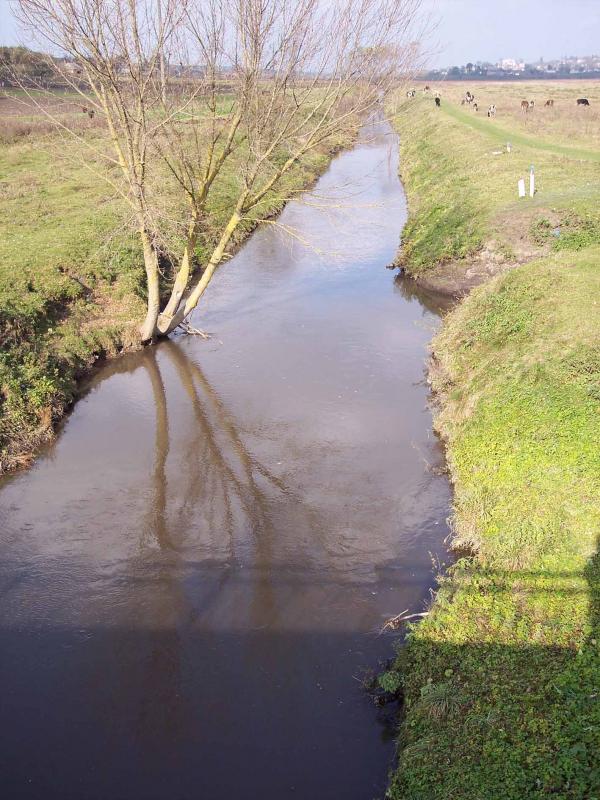 літо - Заставці
