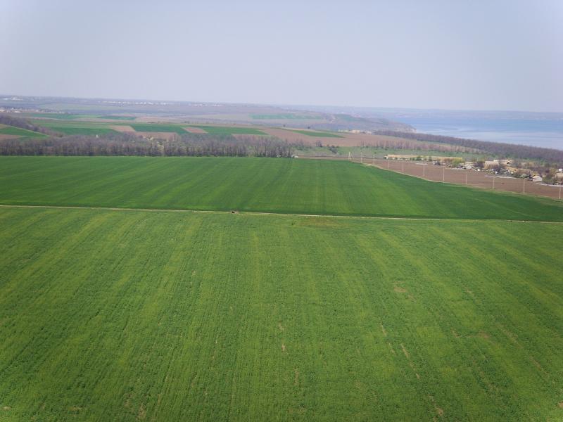 КРЄВИДИ ПАНОРАМА СЕЛА - Золота Балка