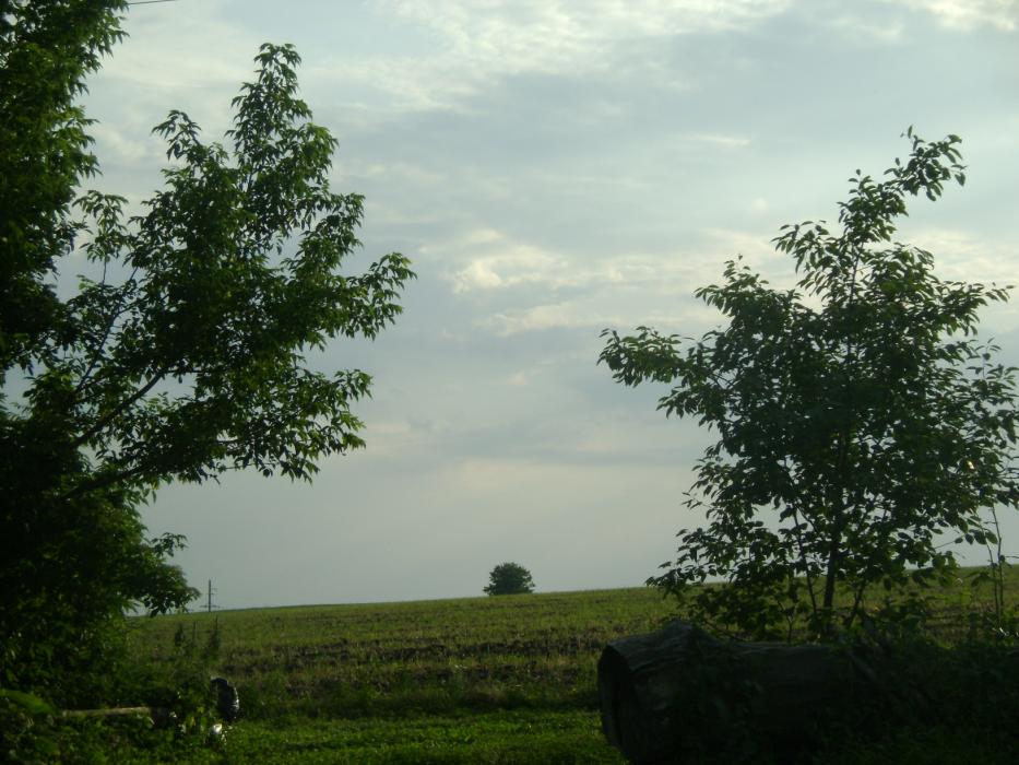 Єрчики - Yerchyky