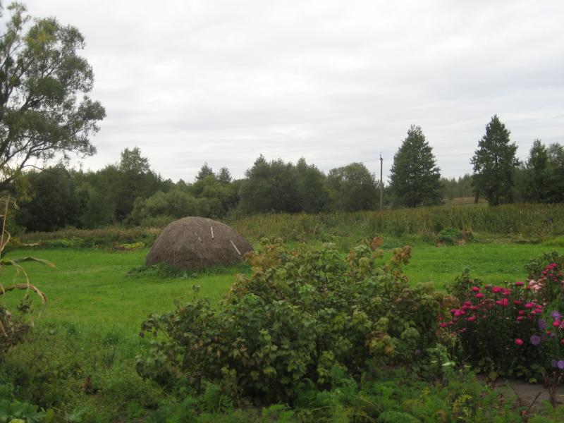 Моё село - Лучковка