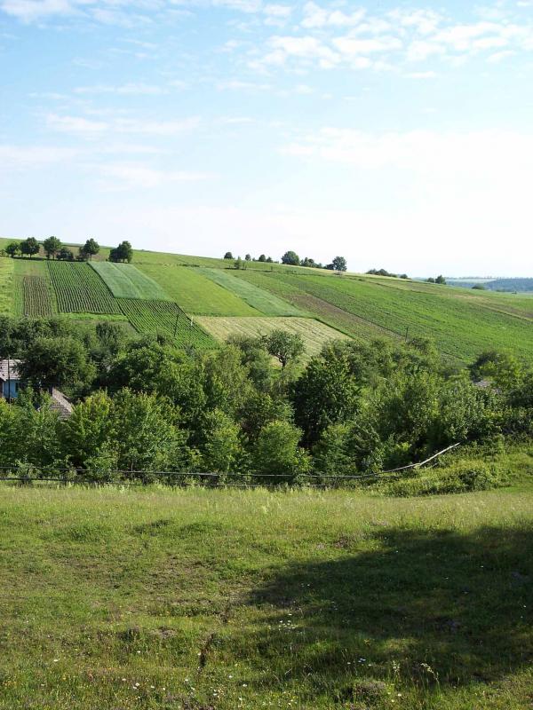 літо - Заставці