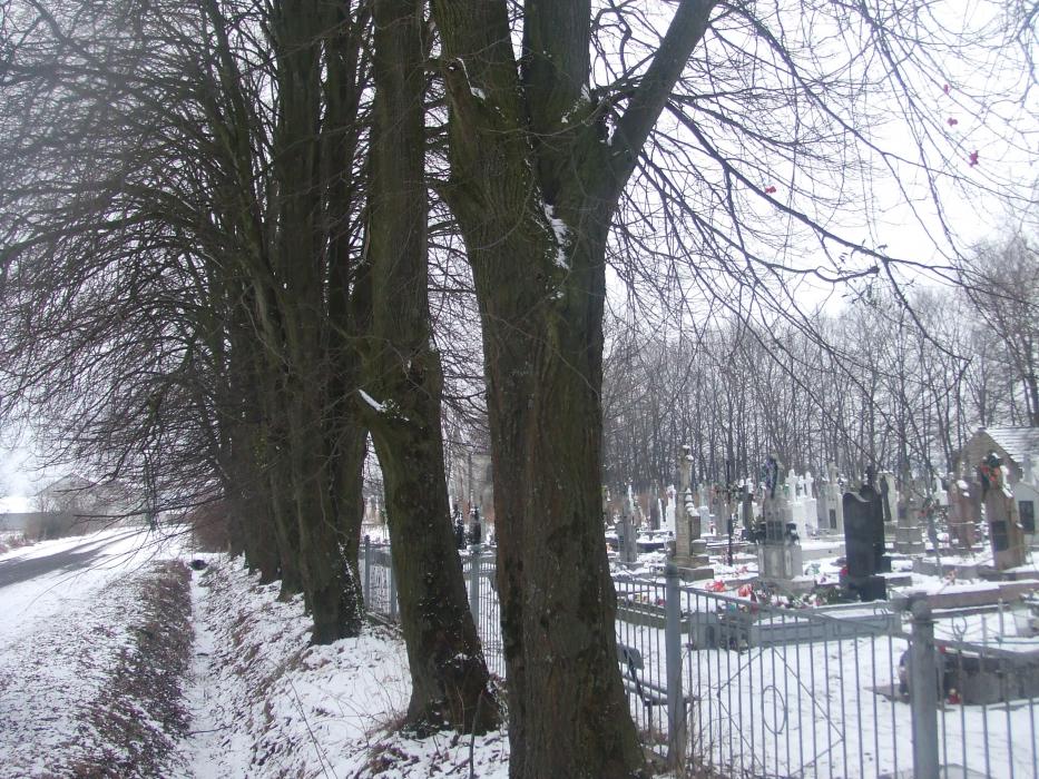 цвинтар - Derzhiv