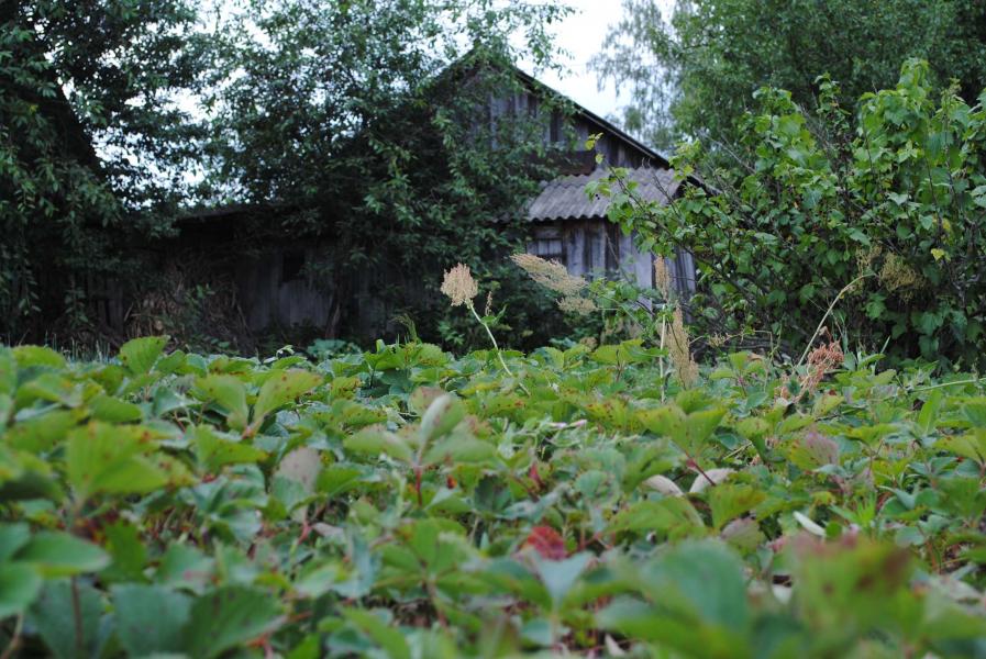 Мальовничі куточки с.Хижки - Хижки