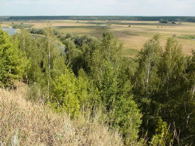 Наша местность - Клепалы