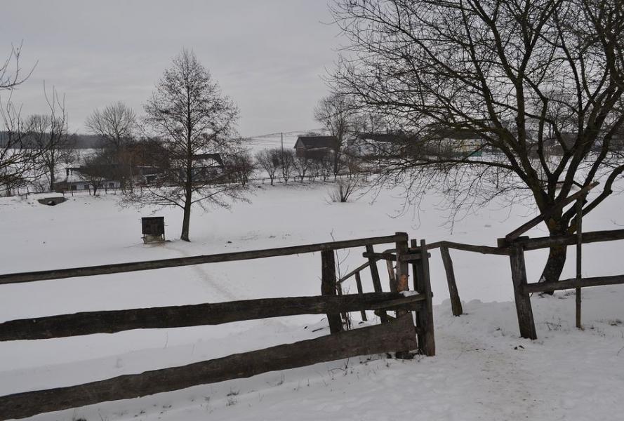 вулицями Новомалину - Новомалин