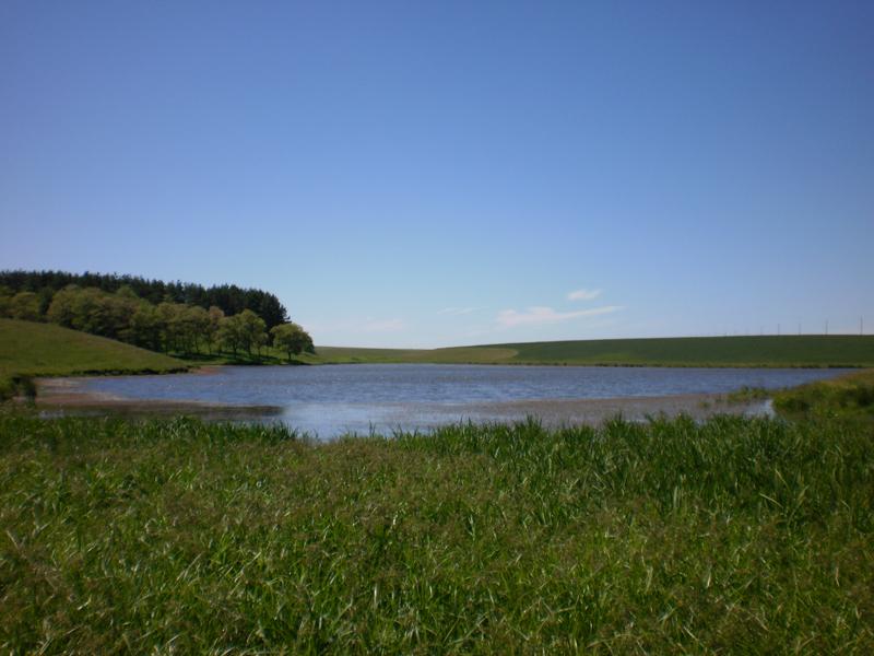 Топори - Топори