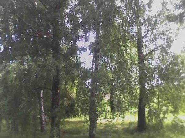 Блистова - Блистова