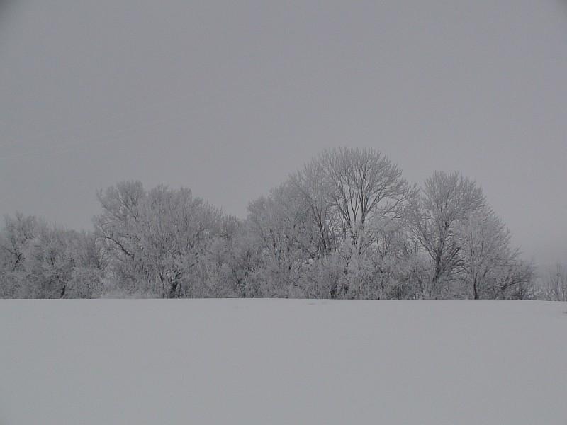 Наша местность - Клепали