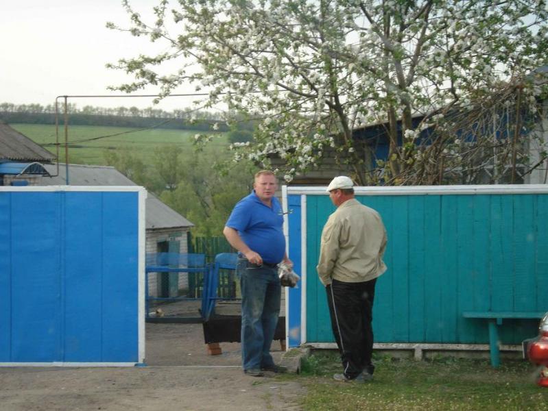 Кабани. - Маньковка