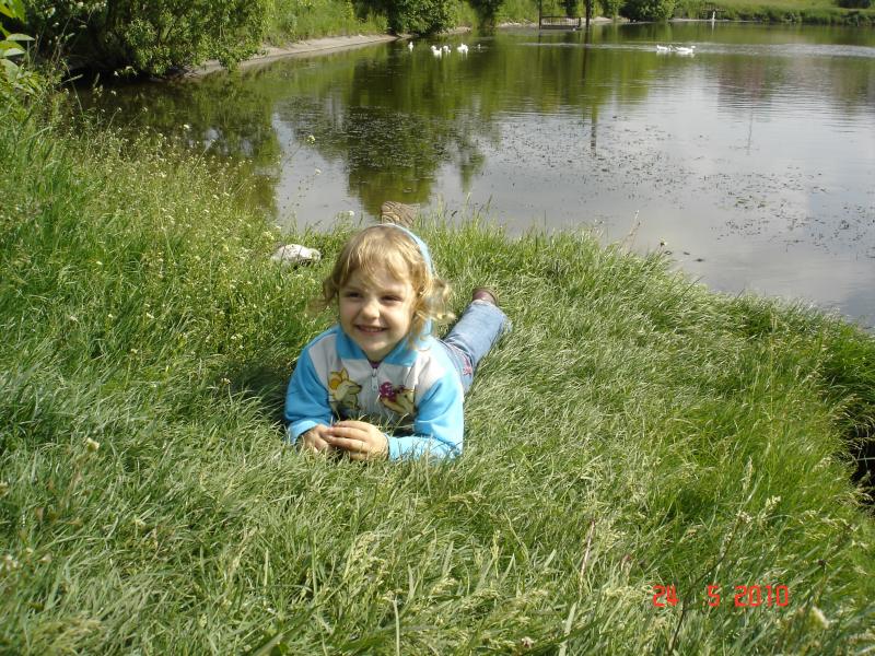 мій рідний край - Кобиловолоки