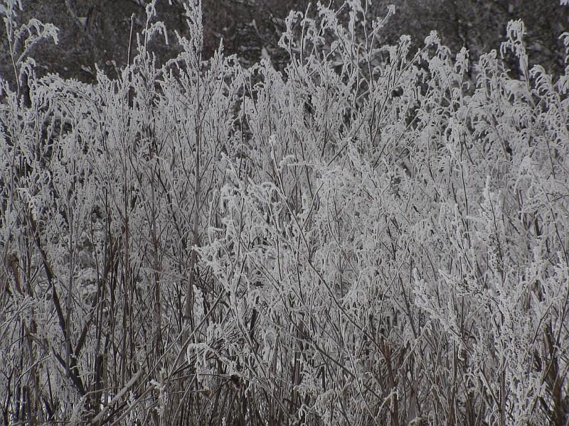 Наша местность - Клепали