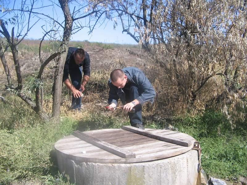 Джерело с. Радивонівка - Радивонівка