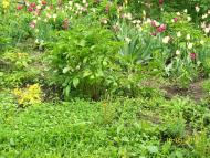 заповідник