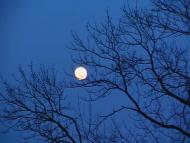 Никловичі клас!!!