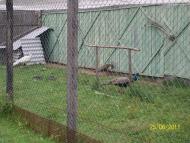 заповідник