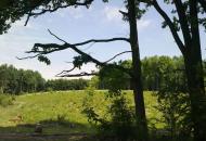 Рідні місця