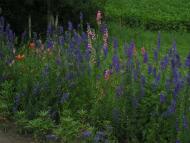 Стодоли  - найживописніше село Придесення