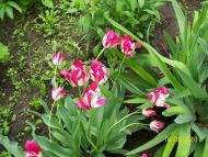 заповідник