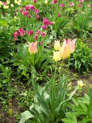 заповідник