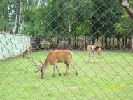 заповідник