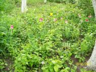 заповідник