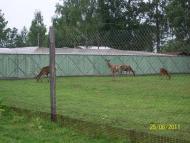 заповідник