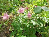 заповідник