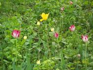 заповідник