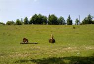 Рідні місця